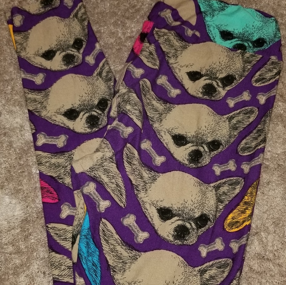 TC Chihuahua Leggings